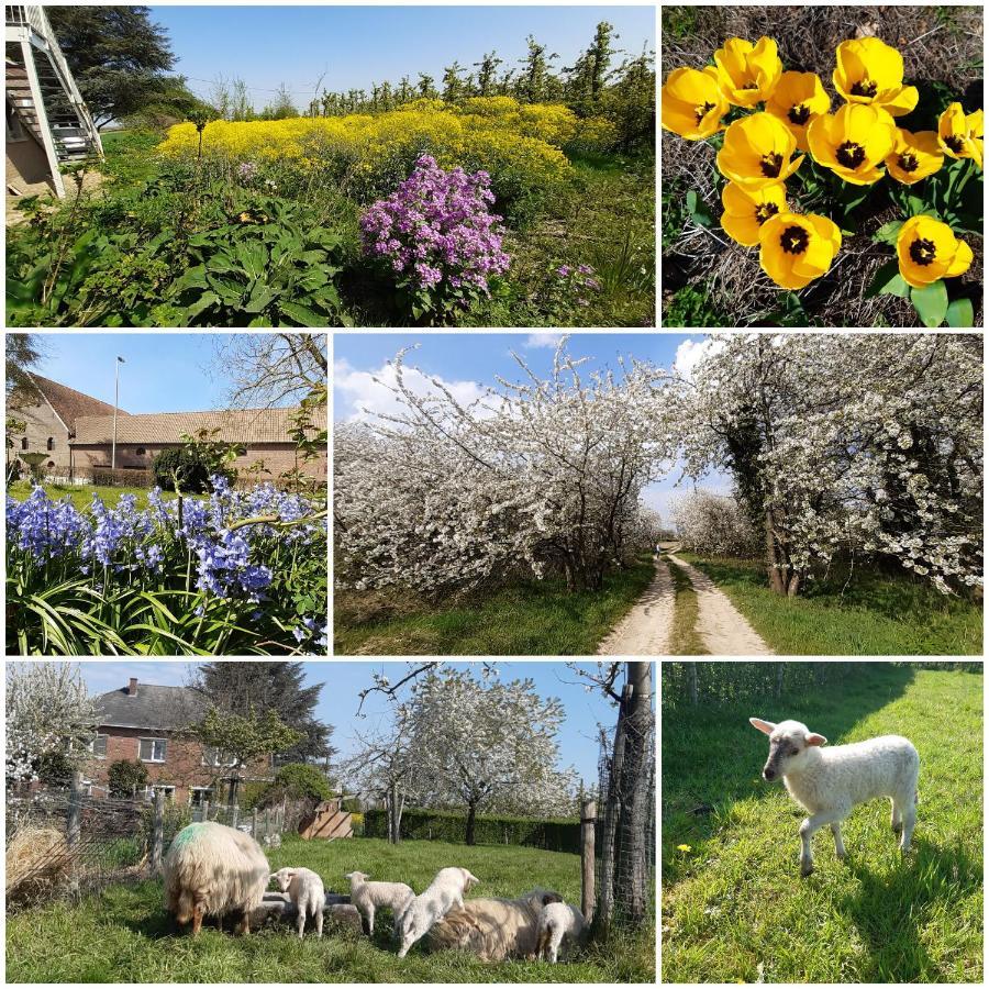 De Tuin Van Agatha Kortessem Exteriör bild