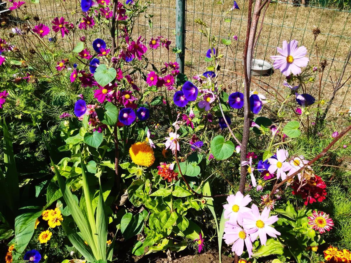 De Tuin Van Agatha Kortessem Exteriör bild